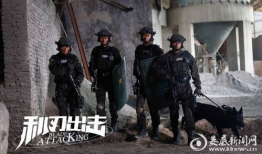 利刃出击电视剧,铁血精英的生死较量