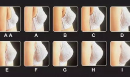 乳头动漫,探索青春与成长的视觉符号