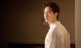 王以纶演过什么电视剧,多部影视作品中的青春演绎